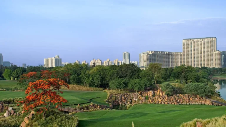 Delhi-ncr-real-estate-market-affordable-housing-sales-share-dips-to-24-in-h1-2024-luxury-sales-touch-45-1536x864